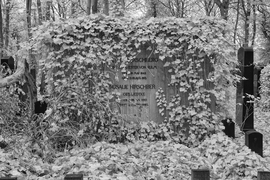 031 | 2014 | Berlin | Jüdischer Friedhof Berlin-Weissensee | © carsten riede fotografie