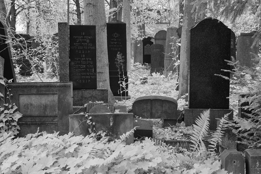 046 | 2014 | Berlin | Jüdischer Friedhof Berlin-Weissensee | © carsten riede fotografie