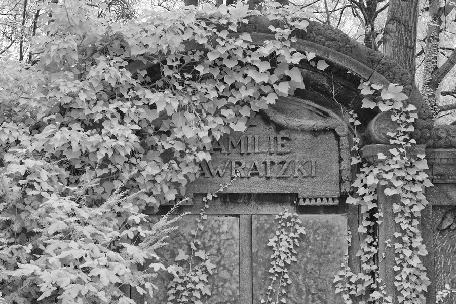 048 | 2014 | Berlin | Jüdischer Friedhof Berlin-Weissensee | © carsten riede fotografie