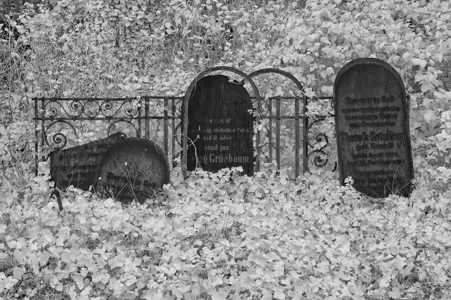 059 | 2014 | Berlin | Jüdischer Friedhof Berlin-Weissensee | © carsten riede fotografie