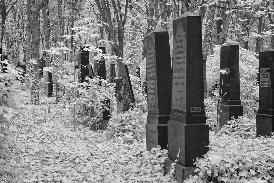 060 | 2014 | Berlin | Jüdischer Friedhof Berlin-Weissensee | © carsten riede fotografie