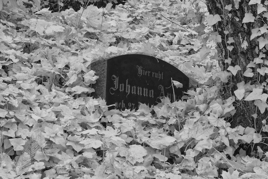 063 | 2014 | Berlin | Jüdischer Friedhof Berlin-Weissensee | © carsten riede fotografie