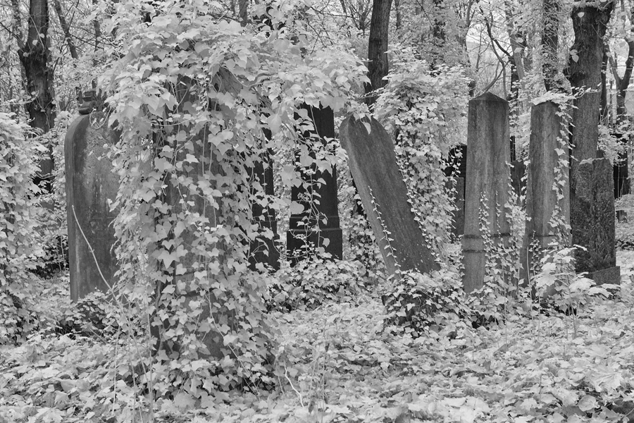 065 | 2014 | Berlin | Jüdischer Friedhof Berlin-Weissensee | © carsten riede fotografie