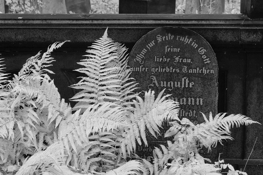 066 | 2014 | Berlin | Jüdischer Friedhof Berlin-Weissensee | © carsten riede fotografie