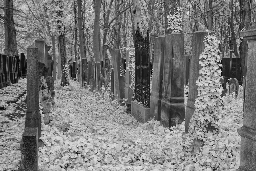 067 | 2014 | Berlin | Jüdischer Friedhof Berlin-Weissensee | © carsten riede fotografie