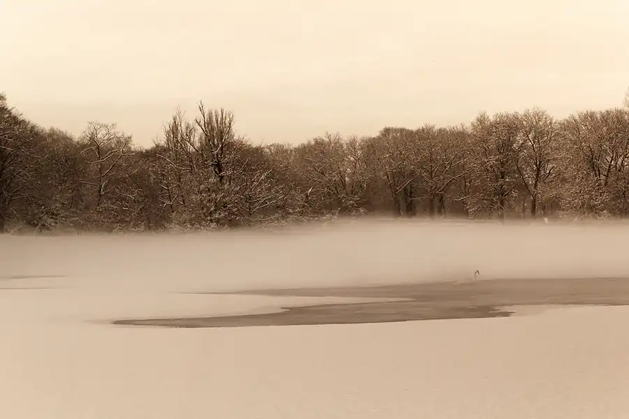 005 | 2014 | Berlin | Obersee-Orankesee-Park | © carsten riede fotografie
