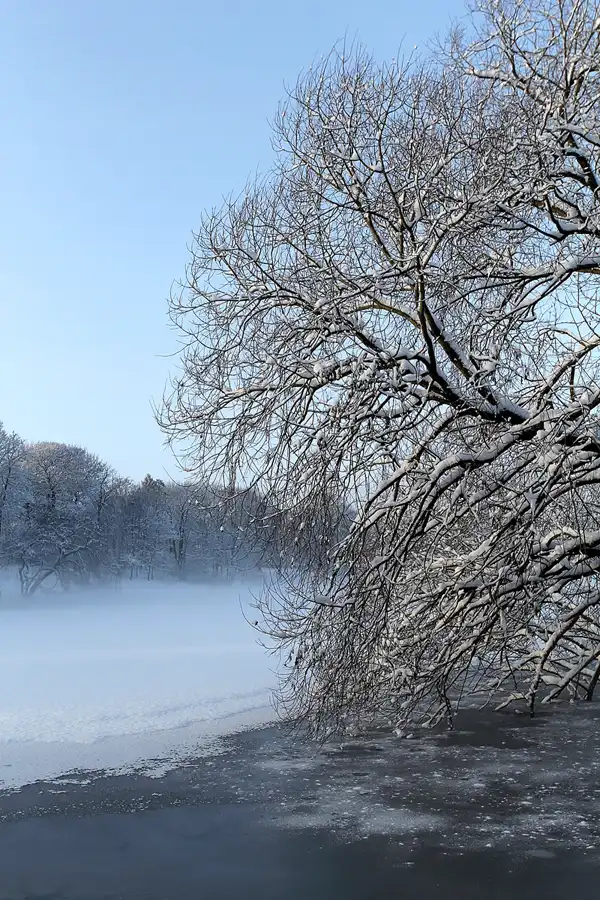 009 | 2014 | Berlin | Obersee-Orankesee-Park | © carsten riede fotografie