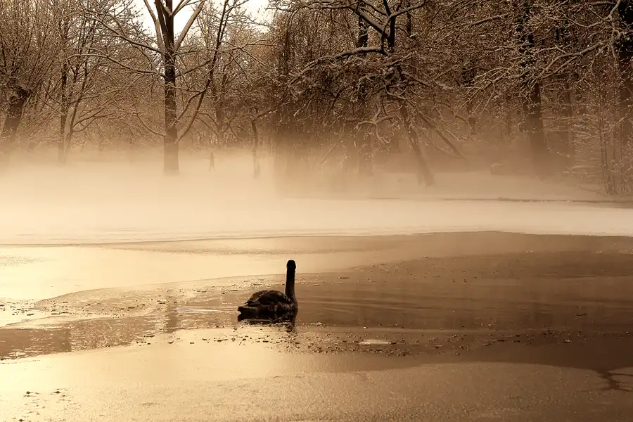 012 | 2014 | Berlin | Obersee-Orankesee-Park | © carsten riede fotografie