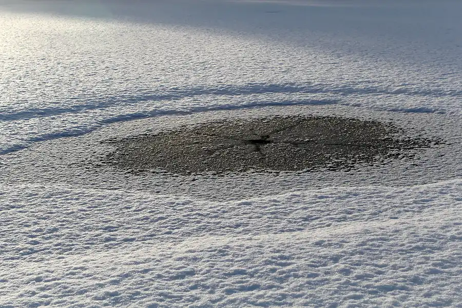 017 | 2014 | Berlin | Obersee-Orankesee-Park | © carsten riede fotografie