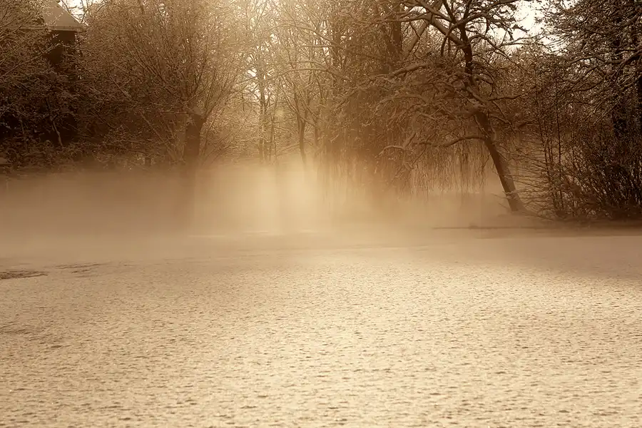 018 | 2014 | Berlin | Obersee-Orankesee-Park | © carsten riede fotografie