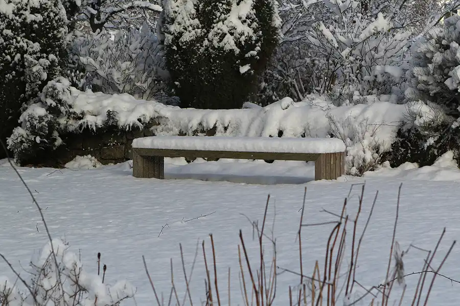 026 | 2014 | Berlin | Obersee-Orankesee-Park | © carsten riede fotografie