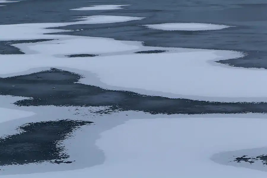 030 | 2014 | Berlin | Obersee-Orankesee-Park | © carsten riede fotografie