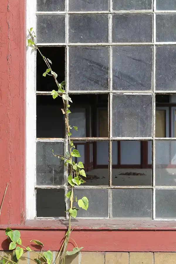 037 | 2015 | Bad Suderode | © carsten riede fotografie