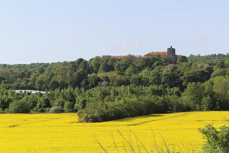 060 | 2015 | Ballenstedt | © carsten riede fotografie