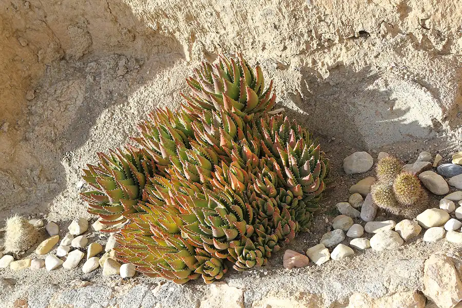 070 | 2015 | Gorafe | Cuevas Algarves de Gorafe | © carsten riede fotografie