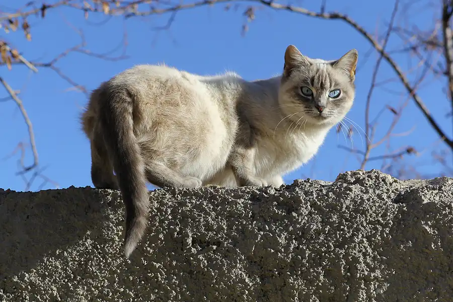 140 | 2015 | La Calahorra | © carsten riede fotografie
