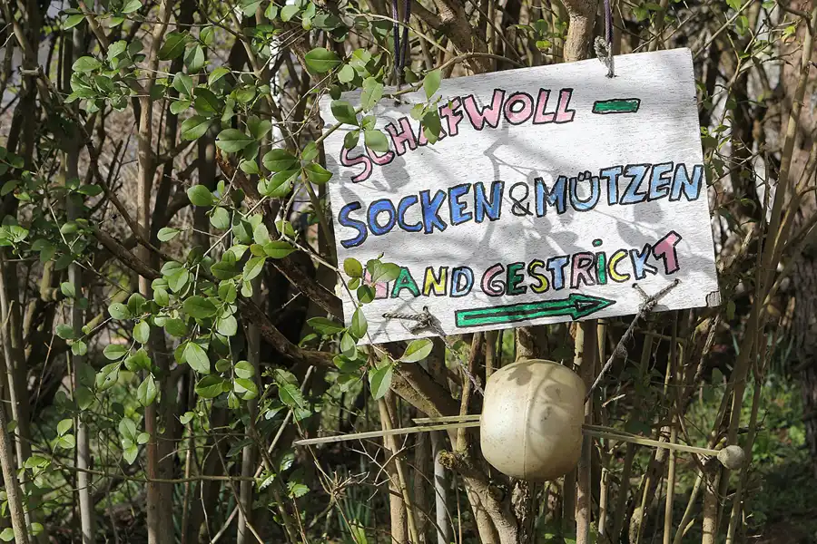 009 | 2015 | Hiddensee | © carsten riede fotografie