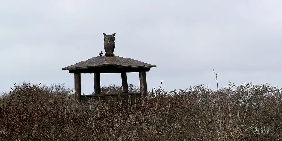 013 | 2015 | Hiddensee | © carsten riede fotografie