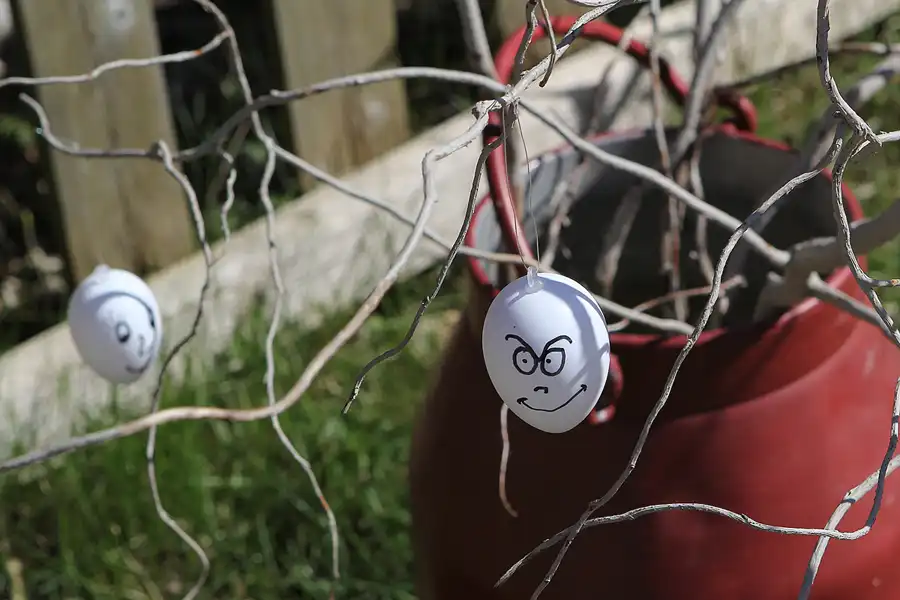 020 | 2015 | Hiddensee | © carsten riede fotografie