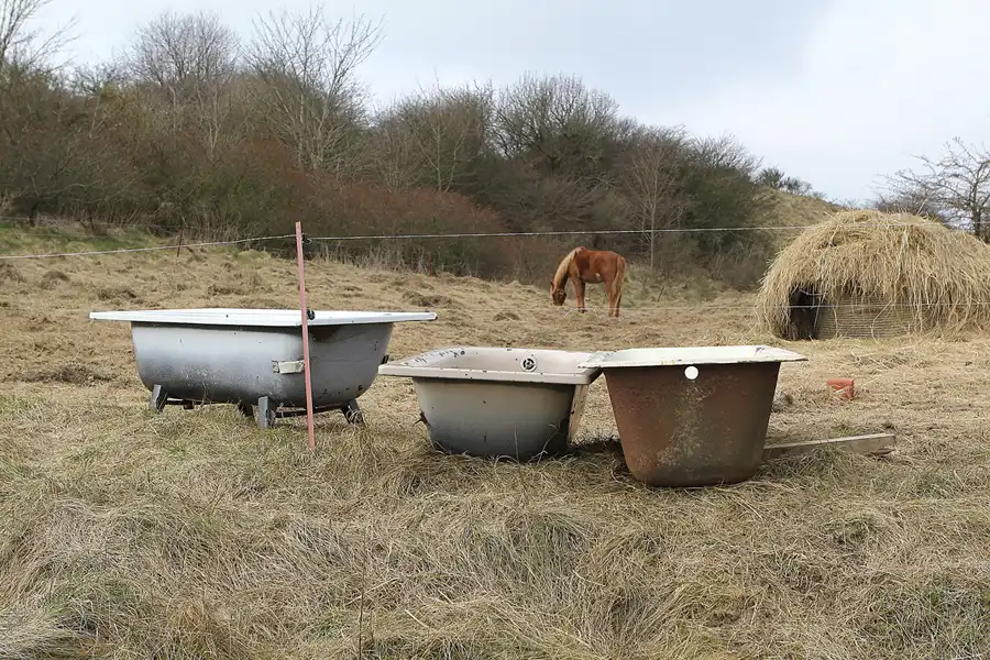 027 | 2015 | Hiddensee | © carsten riede fotografie