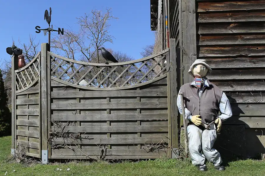 047 | 2015 | Hiddensee | © carsten riede fotografie