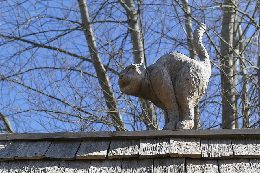 052 | 2015 | Hiddensee | © carsten riede fotografie