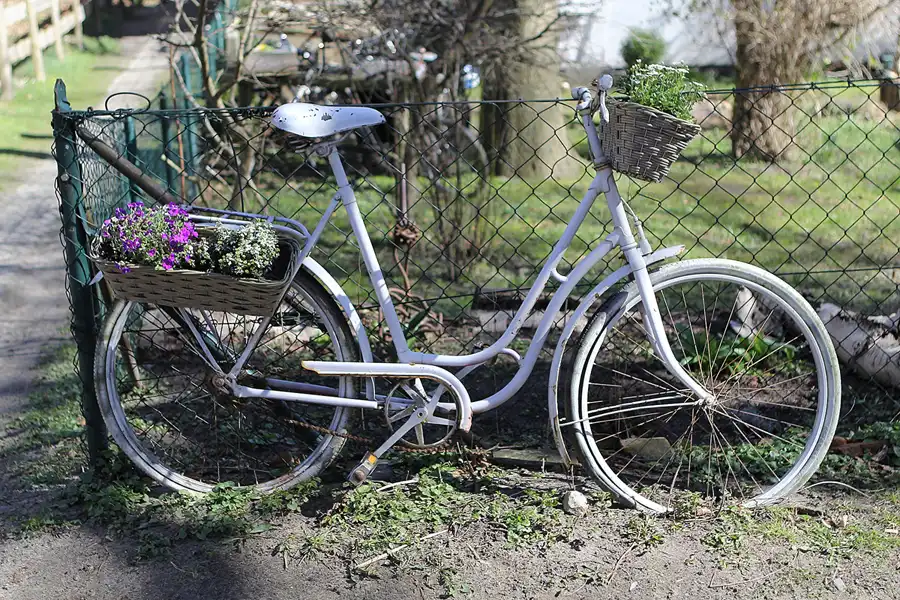 058 | 2015 | Hiddensee | © carsten riede fotografie