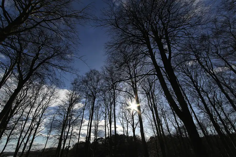 072 | 2015 | Ostseebad Sellin | © carsten riede fotografie