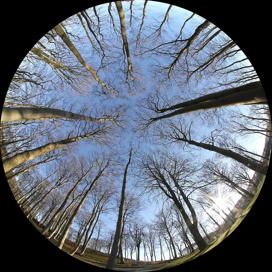 078 | 2015 | Ostseebad Sellin | © carsten riede fotografie