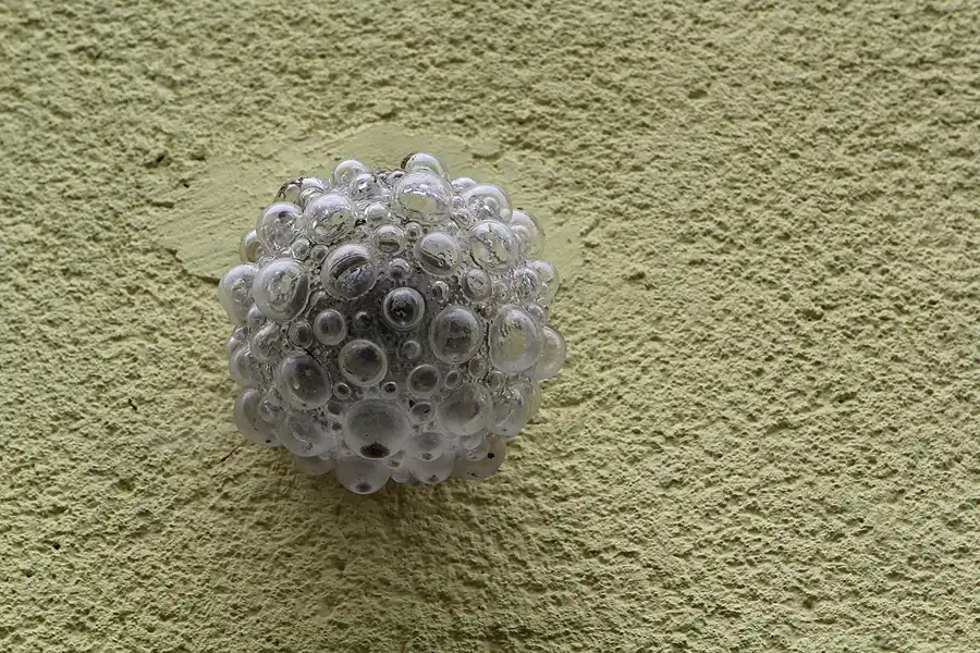 031 | 2015 | Ballenstedt | Bezirksparteischule der SED ´Wilhelm Liebknecht´ | © carsten riede fotografie