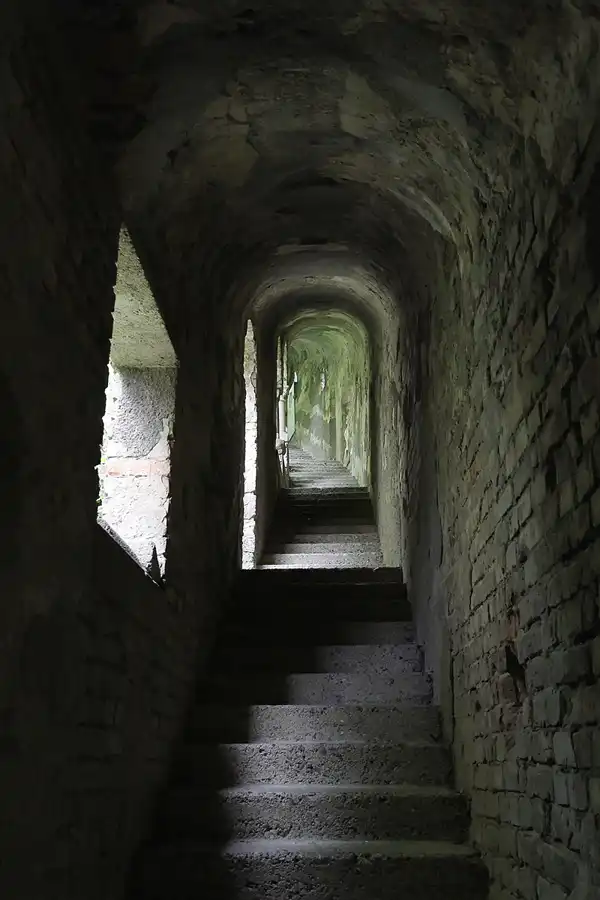 064 | 2015 | Ballenstedt OT Rieder | Roseburg | © carsten riede fotografie