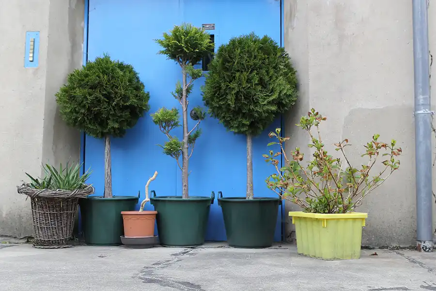 071 | 2015 | Benneckenstein | Ostdeutsches Fahrzeugmuseum | © carsten riede fotografie
