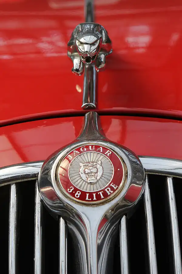 053 | 2015 | Düsseldorf | Classic Remise | © carsten riede fotografie