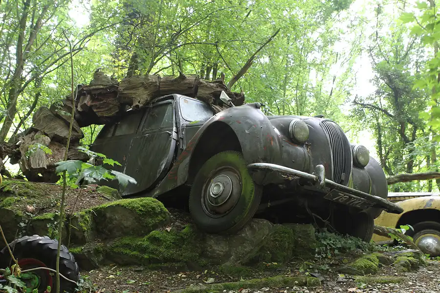 047 | 2015 | Erkrath | Auto-Skulpturen-Park | © carsten riede fotografie
