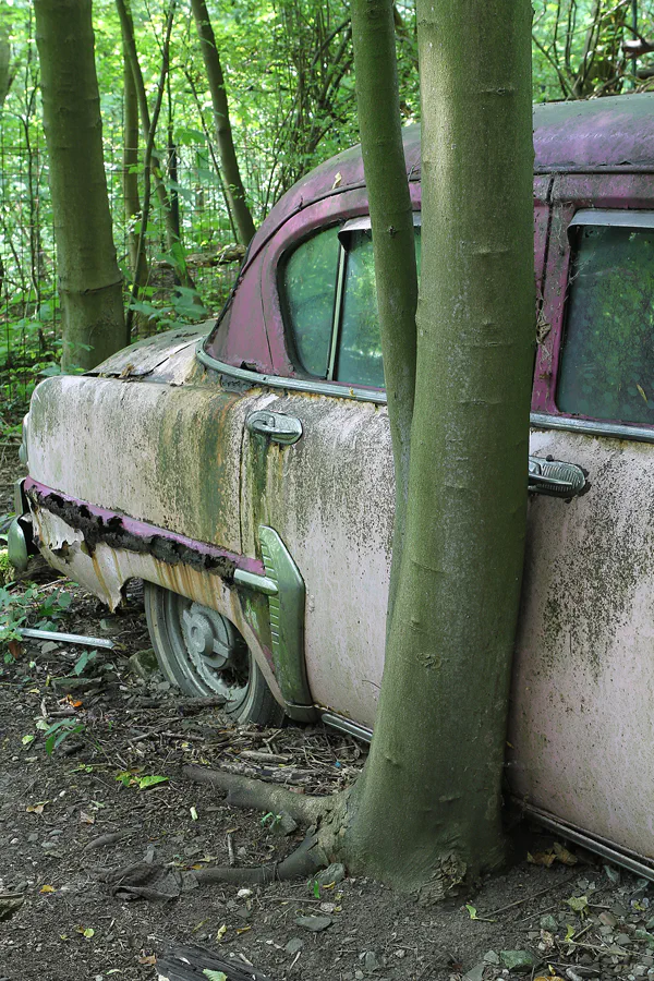 165 | 2015 | Erkrath | Auto-Skulpturen-Park | © carsten riede fotografie