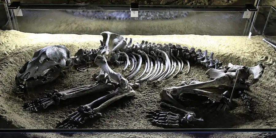 002 | 2015 | Ahorntal | Sophienhöhle – Sophie At Night | © carsten riede fotografie