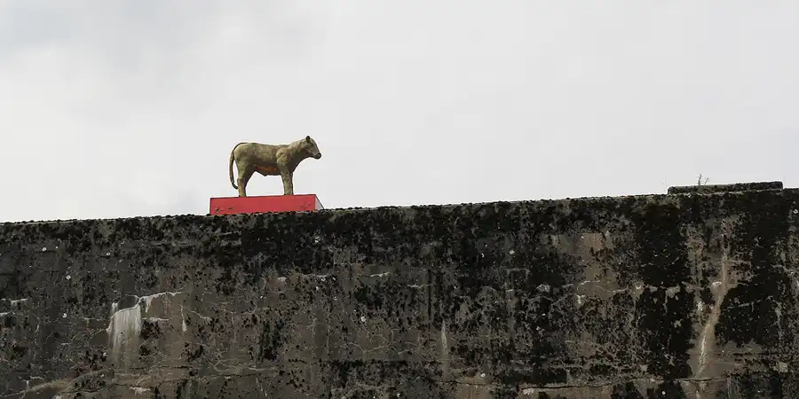 093 | 2015 | Hamburg | Hafenanlagen | © carsten riede fotografie