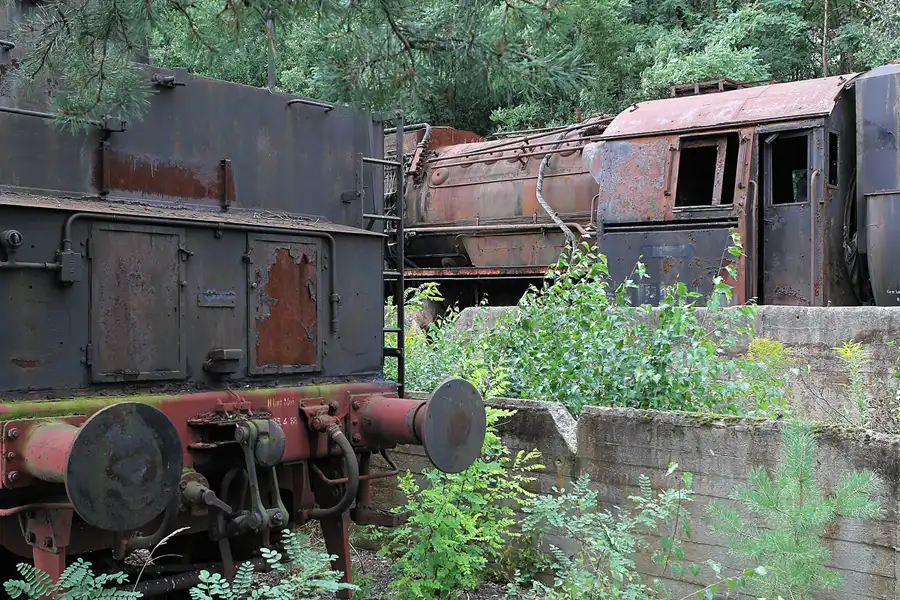 155 | 2015 | Falkenberg/Elster | Loksammlung Falkenberg | © carsten riede fotografie