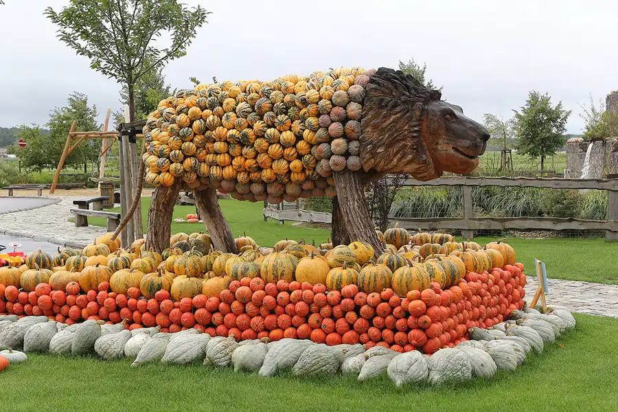 020 | 2015 | Beelitz GT Klaistow | Kürbisausstellung – Löwe = 700 Kürbisse | © carsten riede fotografie