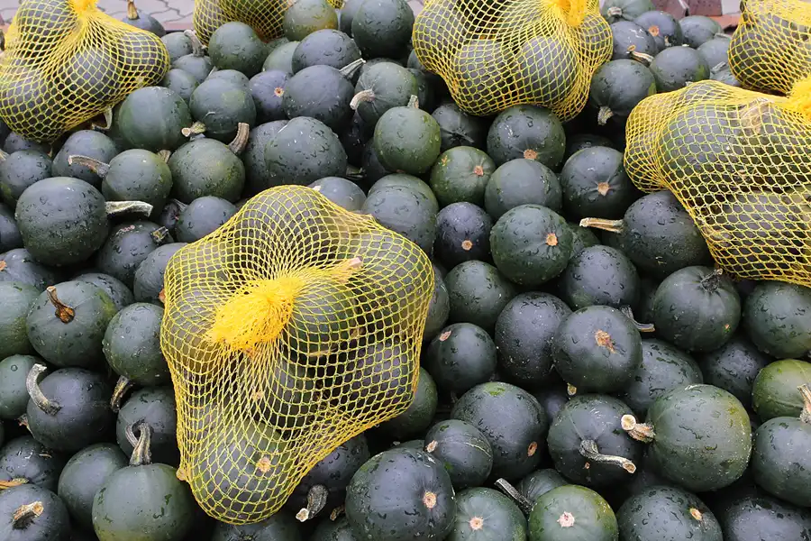 055 | 2015 | Beelitz GT Klaistow | Kürbisausstellung | © carsten riede fotografie