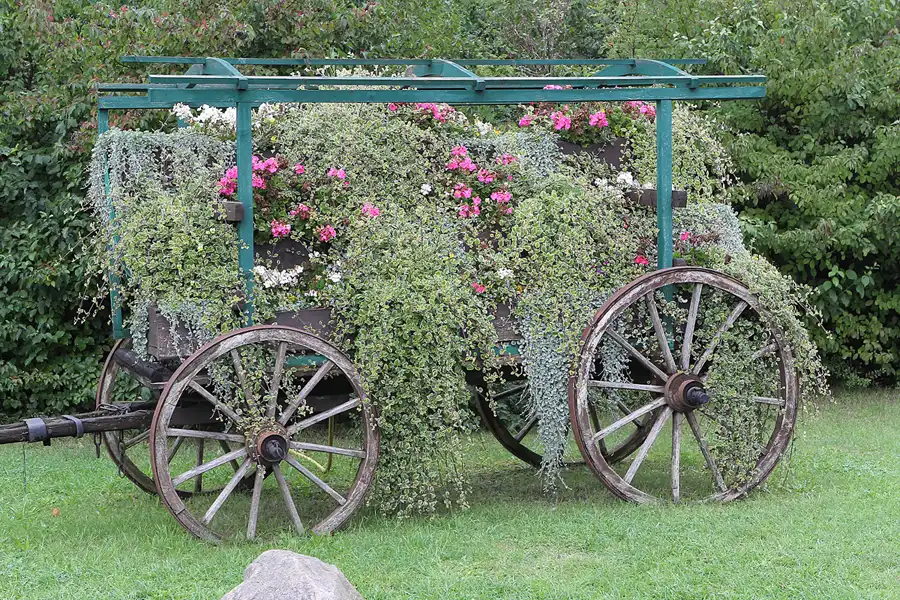 064 | 2015 | Beelitz GT Klaistow | Kürbisausstellung | © carsten riede fotografie