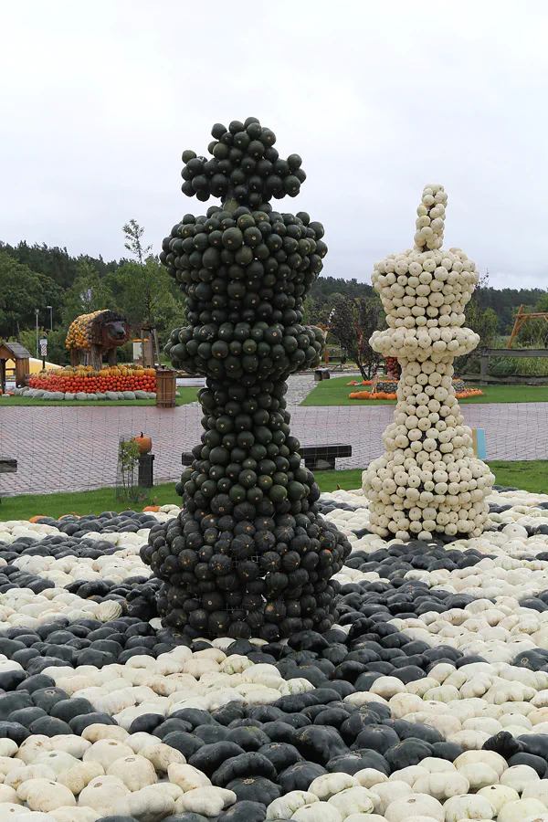 026 | 2015 | Beelitz GT Klaistow | Kürbisausstellung – Schachfiguren = 4600 Kürbisse | © carsten riede fotografie