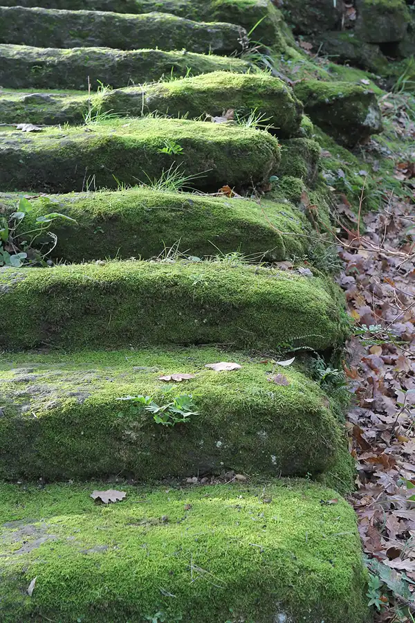016 | 2015 | Bomarzo | Parco Dei Mostri – Park der Ungeheuer | © carsten riede fotografie