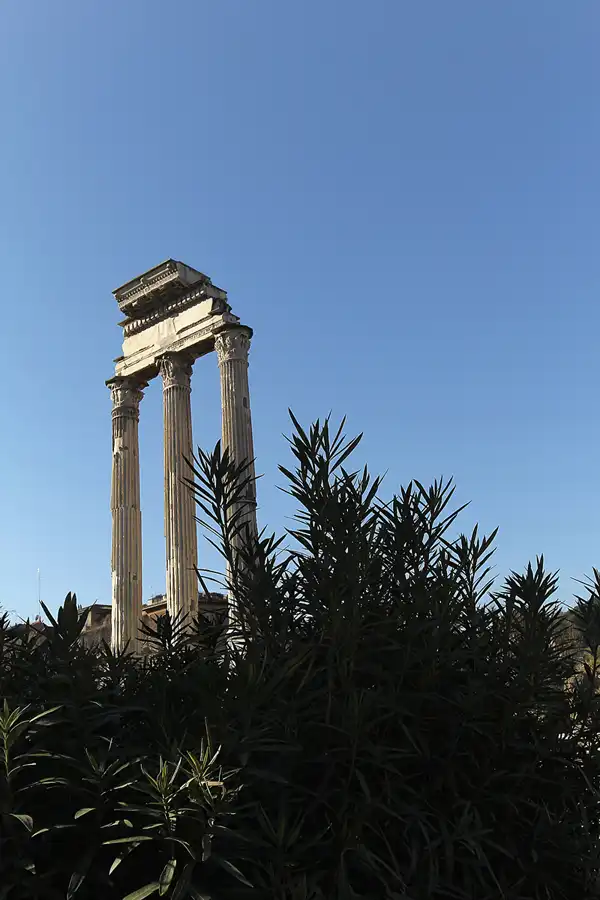 078 | 2015 | Roma | Foro Romano | © carsten riede fotografie