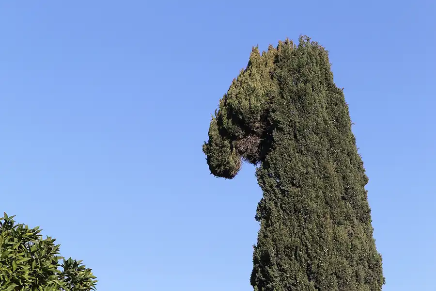 089 | 2015 | Roma | Foro Romano | © carsten riede fotografie