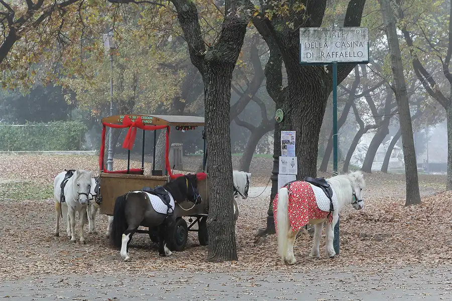 148 | 2015 | Roma | Villa Borghese | © carsten riede fotografie