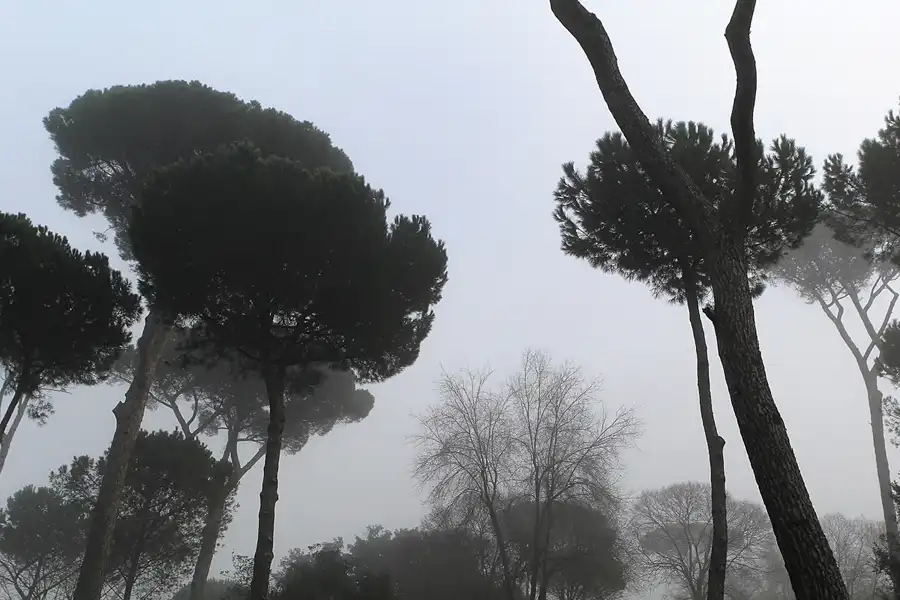 153 | 2015 | Roma | Villa Borghese | © carsten riede fotografie