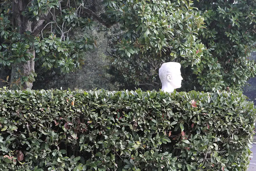 169 | 2015 | Roma | Villa Borghese | © carsten riede fotografie