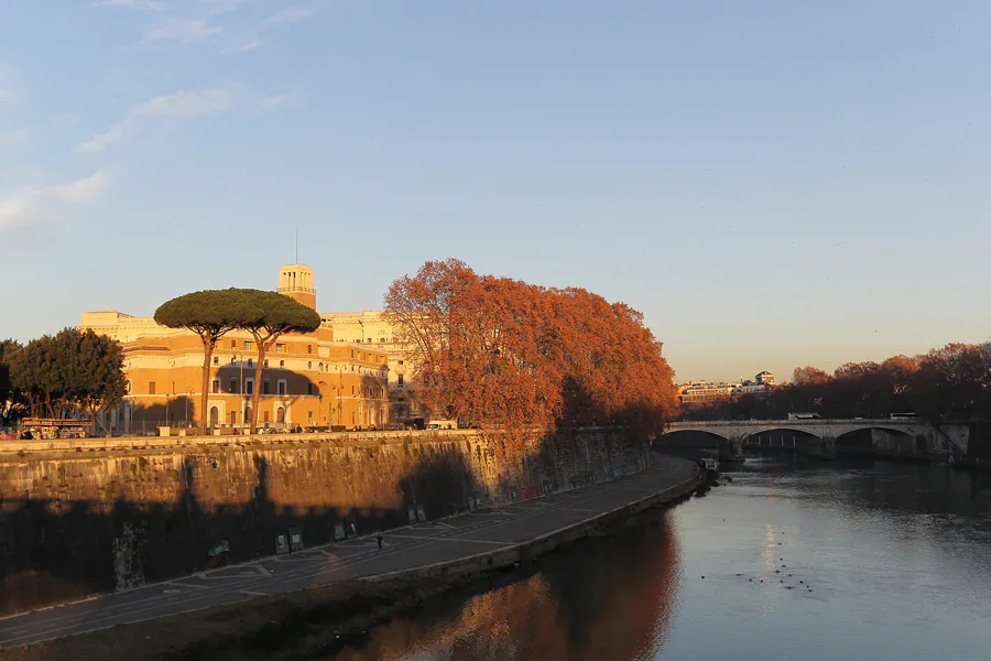 048 | 2015 | Roma | Fiume Tevere | © carsten riede fotografie