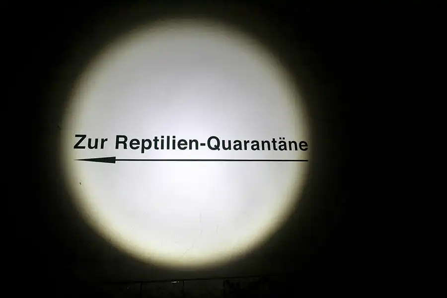 100 | 2016 | Leipzig | Leipziger Stadtbad | © carsten riede fotografie